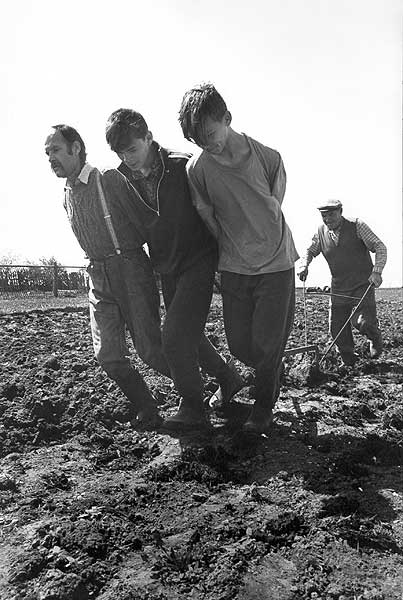 Семейная «тройка». Д. Волковойново (1994).