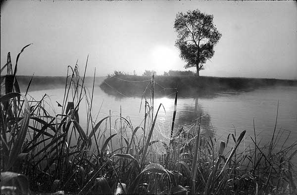Упрямцы. (1990).