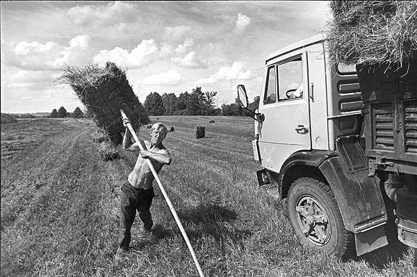 В разгаре лета. д. Дмитровы горы (1995).