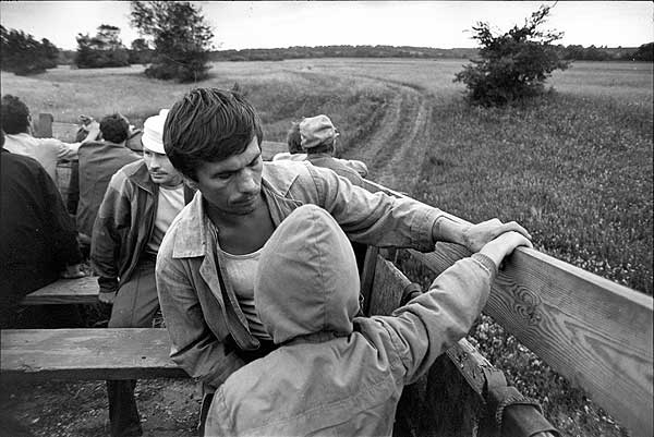 Дорога домой. д. Дмитровы горы (1995).