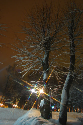 В ночь перед Рождеством 4