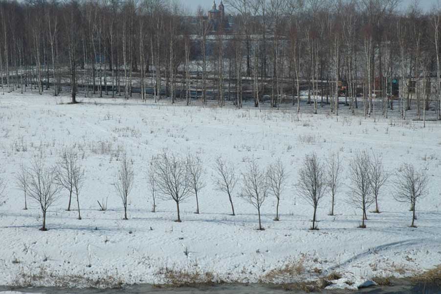 suzdal11.jpg