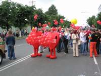 : 2007 : Lapa